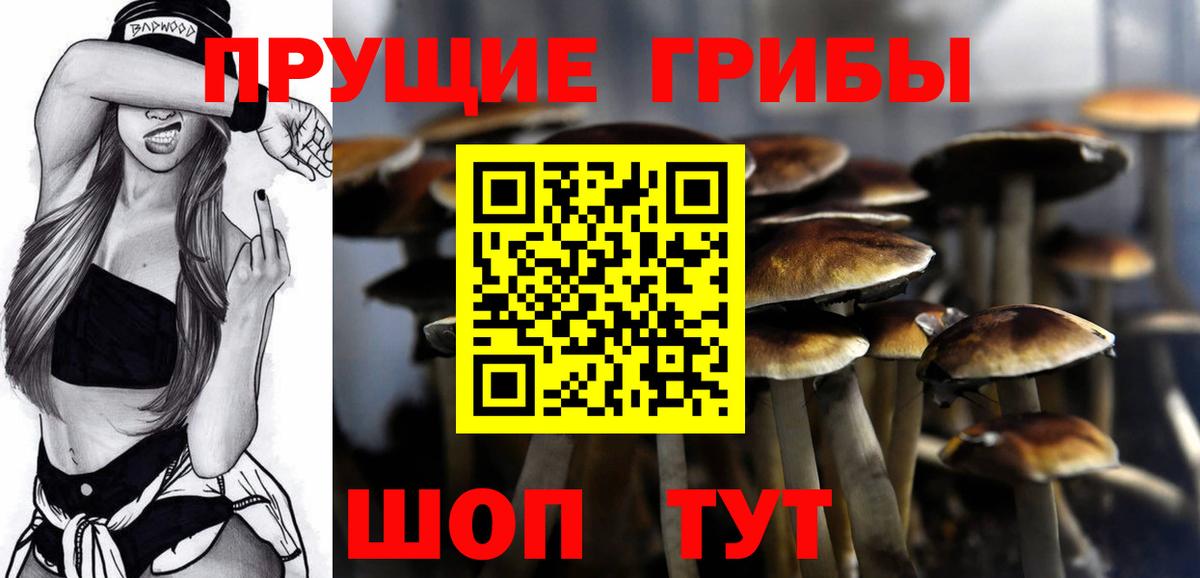 Галлюциногенные грибы MAGIC MUSHROOMS  Вход с VPN  магазин продажи наркотиков  Калуга 